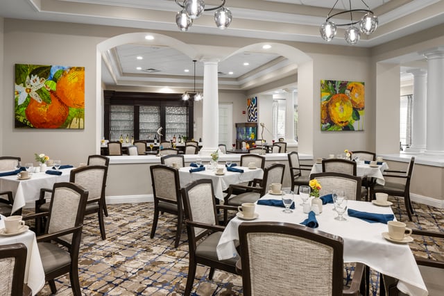 Sun-City-Center-IL-020