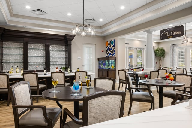 Sun-City-Center-IL-021