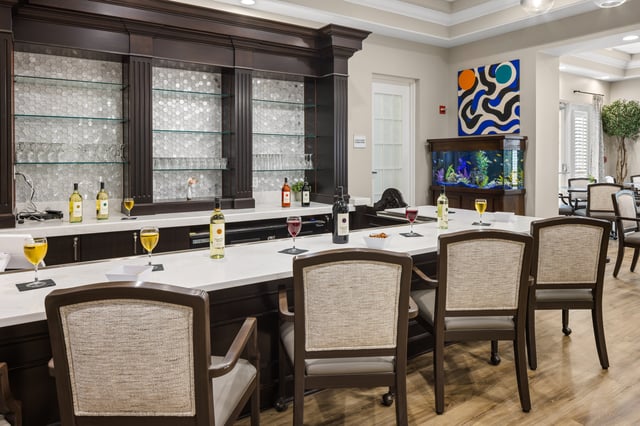 Sun-City-Center-IL-023