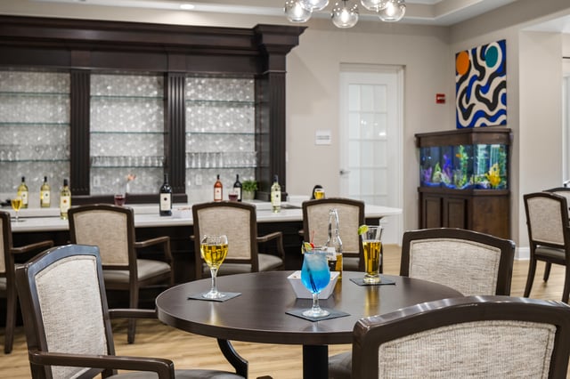 Sun-City-Center-IL-025