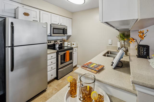 Sun-City-Center-IL-112