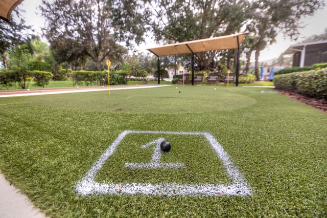 Sun-City-Center-IL-156